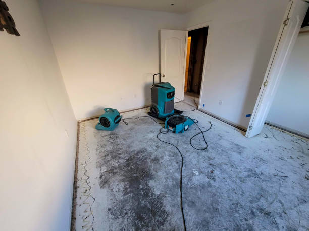 Best Basement water damage restoration  in Josephine, TX