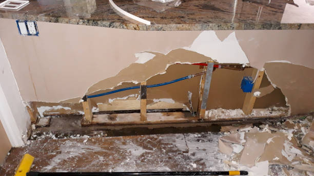 Best Basement water damage restoration  in Josephine, TX