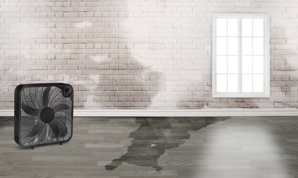 Best Residential water damage restoration  in Josephine, TX
