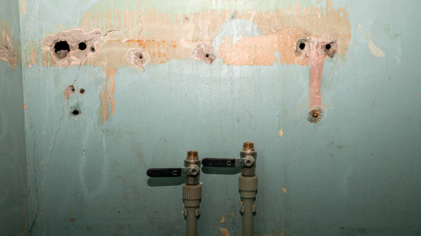 Best Flooded house restoration  in Josephine, TX