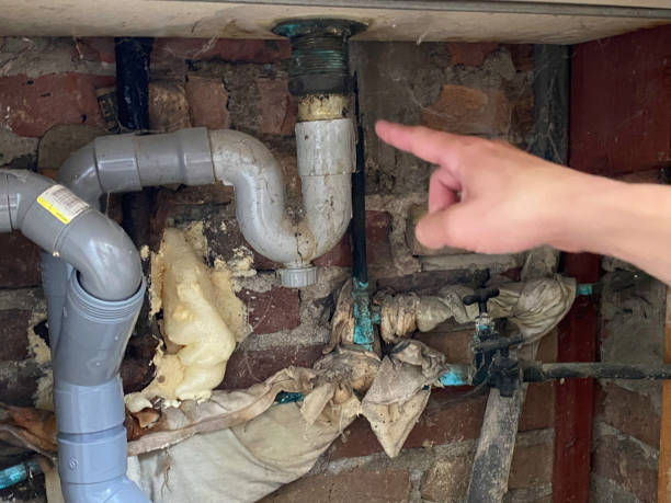 Best Water damage restoration near me  in Josephine, TX