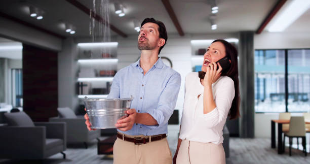 Best Carpet water damage restoration  in Josephine, TX